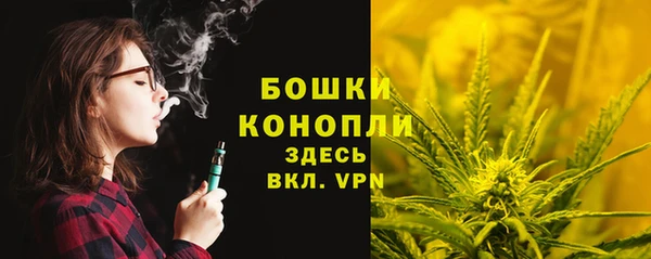 mix Горняк